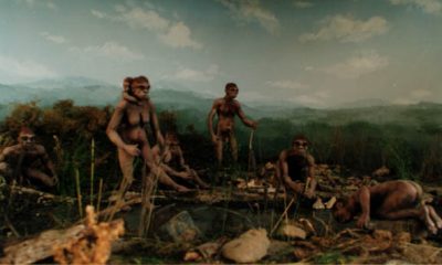 scenografie-2-isernia-400x240